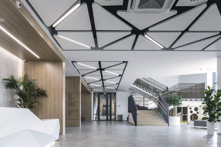 knauf_amf_topiq_sonic_element_1